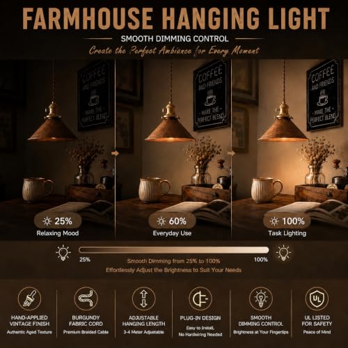 Hanging Light Plug in