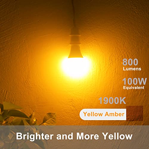 Dusk to Dawn Light Bulbs (2 Count)