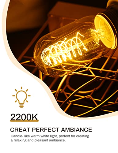 Edison Bulbs Light Bulbs (4 Count)