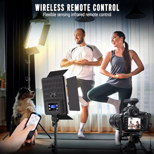 2 Pack Photography Lighting Kit (2 Count)