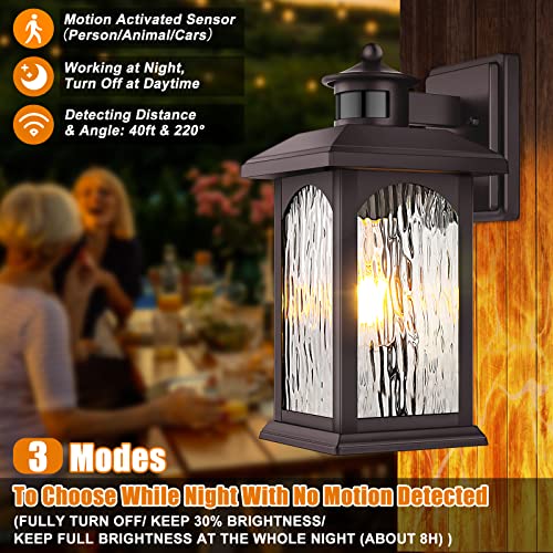 Motion Sensor Outdoor Wall Light Fixture