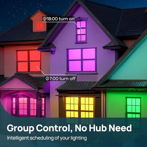 A19 Smart Light Bulbs (2 Count)