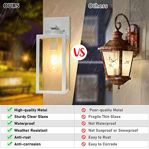 Outdoor Wall Light Fixtures (2 Count)