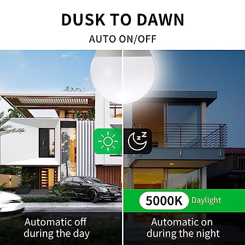 Dusk to Dawn Light Bulbs (4 Count)
