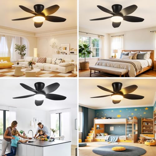 Small Ceiling Fan with Lights (32 Inch)