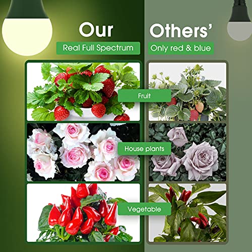Grow Light Bulbs