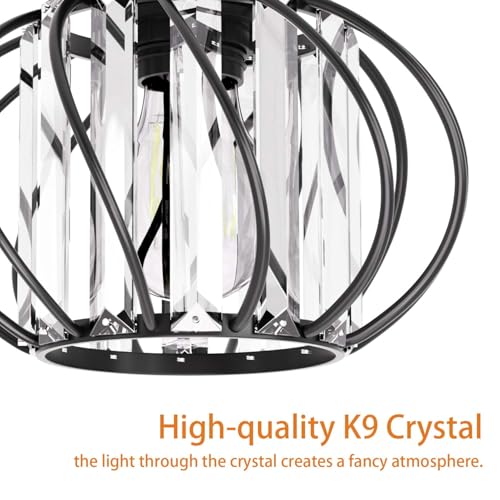 Black Crystal Ceiling Light Fixture (2 Count)