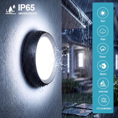 36W Outdoor LED Wall Lights Black (Black)