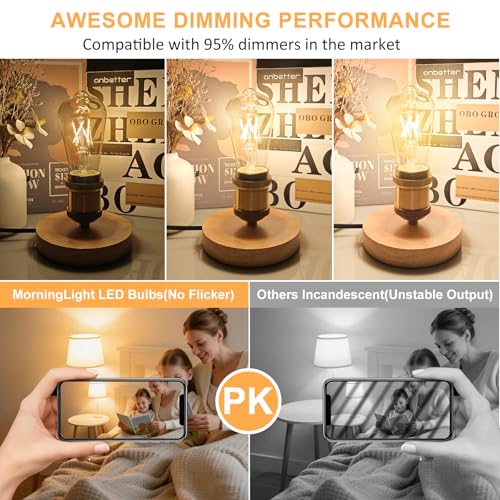 6 Pack Dimmable Vintage LED Edison Bulbs 40Watt (6 Count)