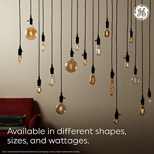 Vintage Style LED Light Bulbs (2 Count)