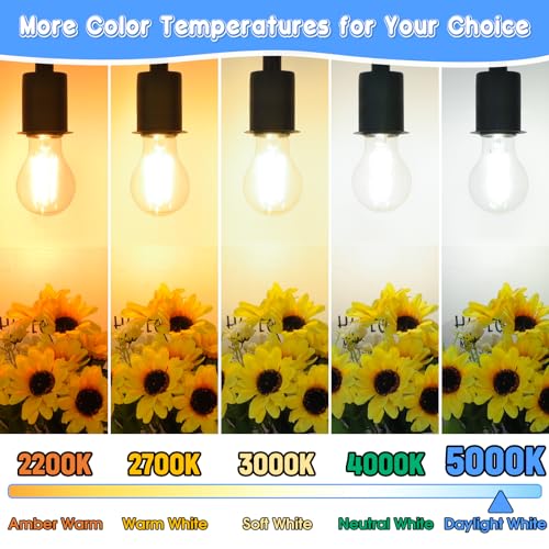 60W Equivalent E26 LED Filament Light Bulbs (4 Count)