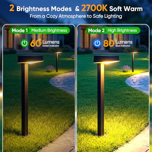 Solar Pathway Lights Outdoor (2 Count)