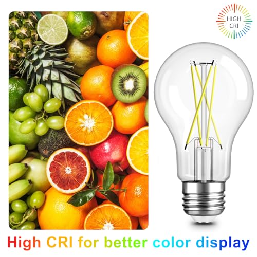 A19 LED Edison Light Bulb (12 Count)