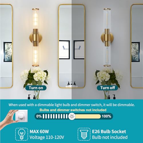 Hardwired Gold Vanity Light Threaded Glass Wall Sconce 2 Pack (2 Count)