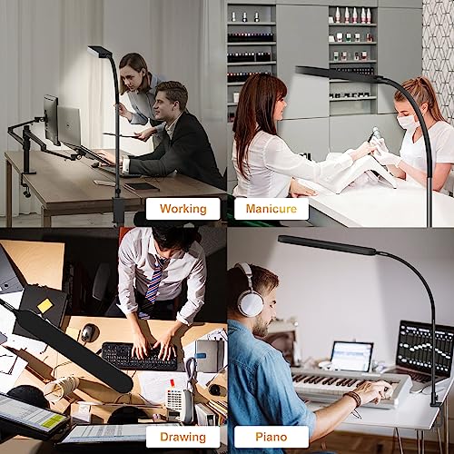 Led Desk Lamp