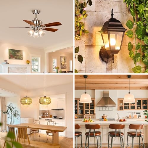 LED Light Bulbs (6 Count)