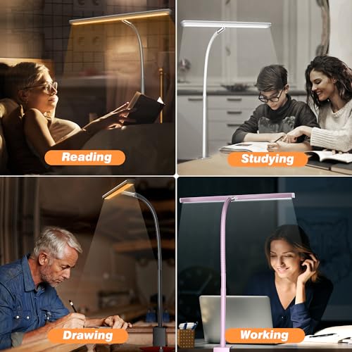LED Desk Lamp with Clamp