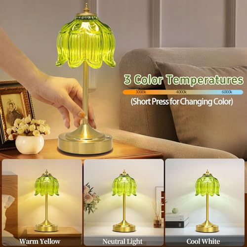 Cordless Table Lamp