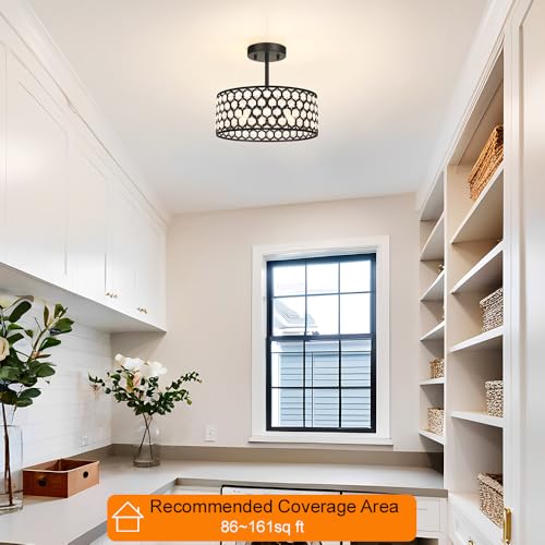 Black Crystal Ceiling Light Fixture