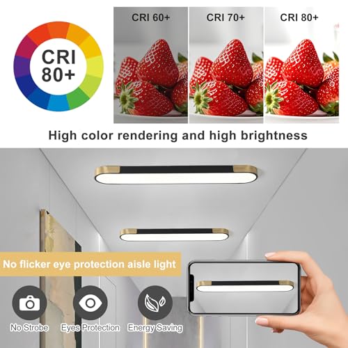 4FT LED Light Fixture 60W Dimmable Led Ceiling Light Black and Gold Flush Mount Ceiling Light Modern Light Fixtures Ceiling for Kitchen Closet Garage Office Hallway