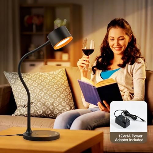 Desk lamp with 2 USB Charging Ports