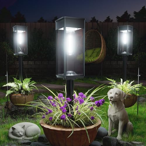 Solar Pathway Lights Outdoor (6 Count)