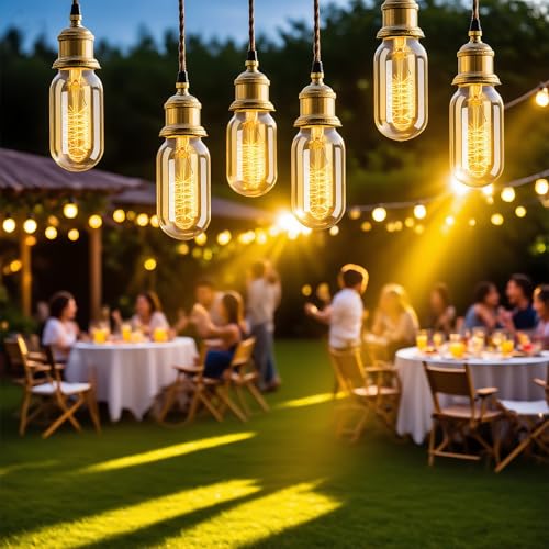 8 Pack Vintage Edison Light Bulbs 60W (8 Count)
