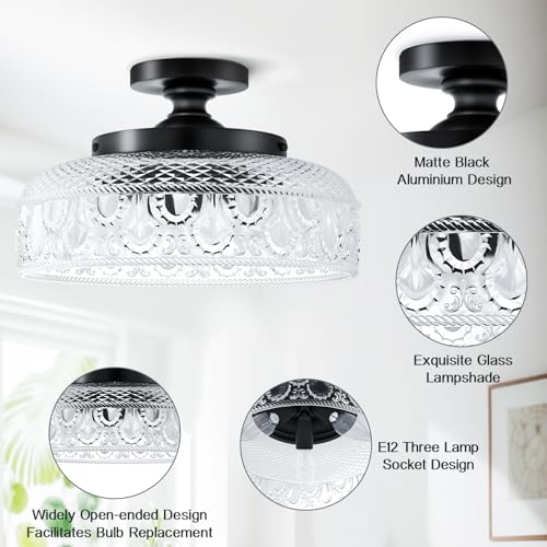 Semi Flush Mount Ceiling Light