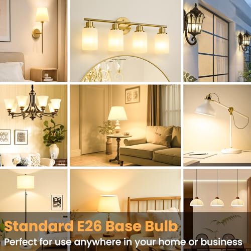 6 Pack A19 LED Light Bulbs (6 Count)