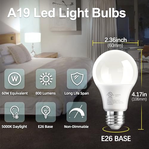 12 Pack A19 LED Light Bulb (12 Count)