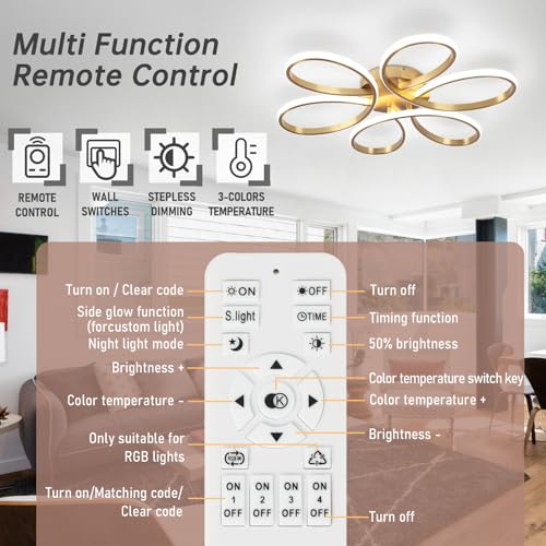 26inch Modern LED Ceiling Light