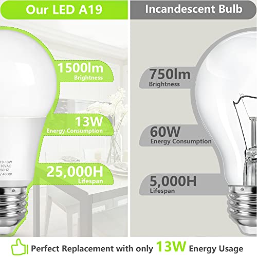 A19 LED Light Bulbs (4 Count)