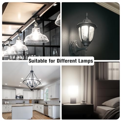 4 Pack Vintage LED Edison Bulbs (4 Count)