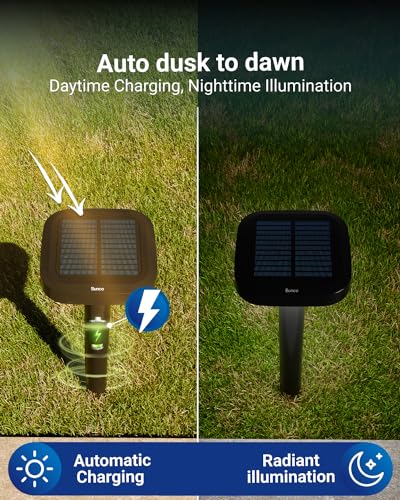 Sunco 60 Pack 2W LED Square Solar Pathway Walkway Driveway Backyard Patio Garden Outdoor Residential Super Bright Light (60 Count)
