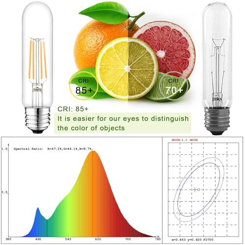 5 Inch Edison Bulb (4 Count)