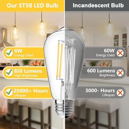 4 Pack Vintage Edison Bulbs 60W Equivalent (4 Count)