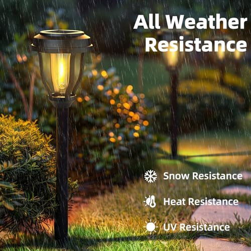 Solar Lights Outdoor (6 Count)