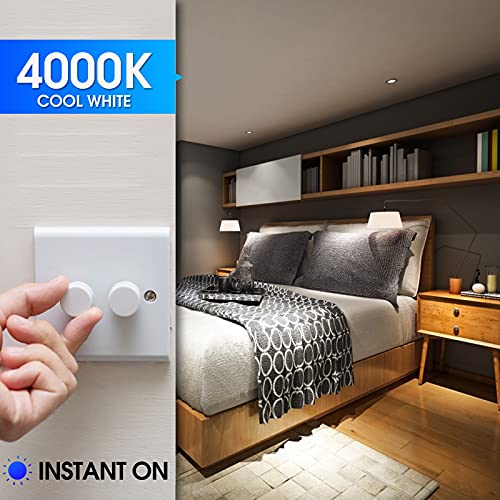 Energetic LED Bulbs 100 Watt Equivalent (6 Count)