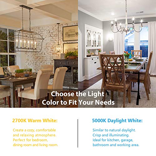 6 Pack Dimmable E12 LED Candelabra Bulbs 60W Equivalent (6 Count)