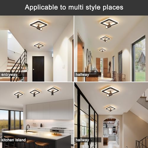 Modern LED Ceiling Lights with 1 spotlights 9.8Inch Black Ceiling Lights with Remote Control Dimmable
