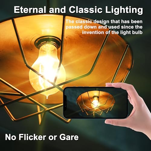 Warm Incandescent Light Bulbs 60 Watt (12 Count)