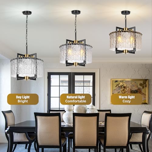 Black and Gold Chandelier