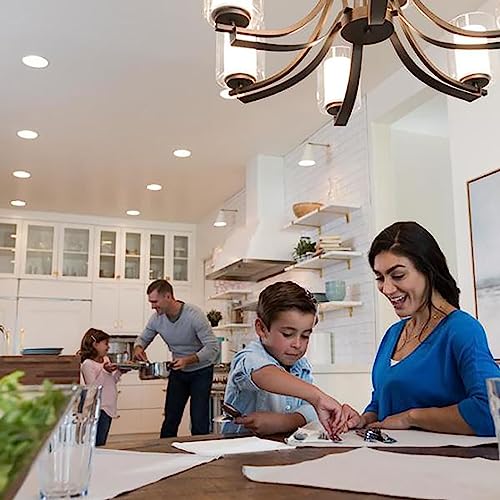 Skylark LED+ Dimmer Switch