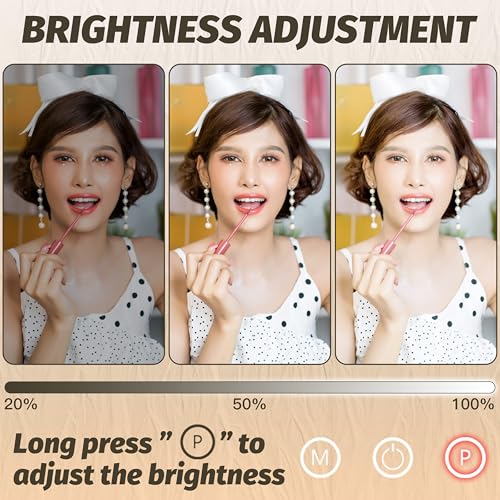 Vanity Mirror with Lights 17''x13'' Makeup Mirror with Lights