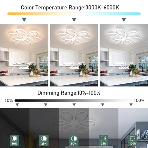 26inch Modern LED Ceiling Light