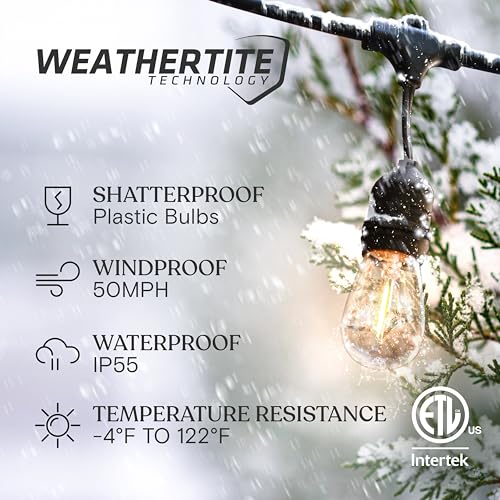 Ambience Pro Waterproof LED Outdoor String Lights (48 Foot)