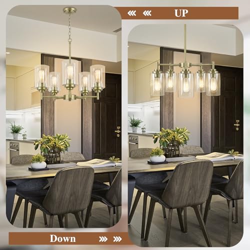 D19.8" Chandelier for Dining Room