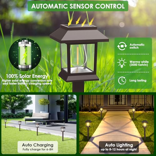Solar Outdoor Lights (12 Count)