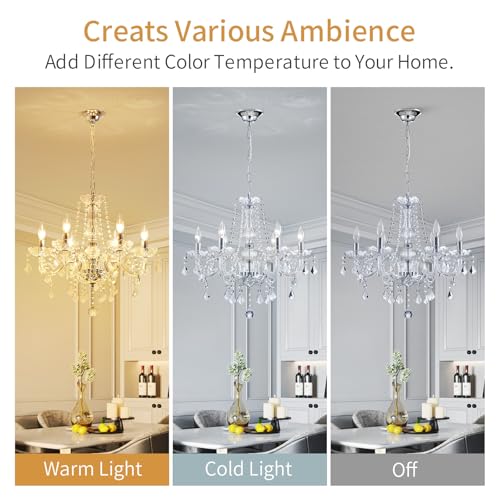 Crystal Chandelier Light Fixture (6 Count)