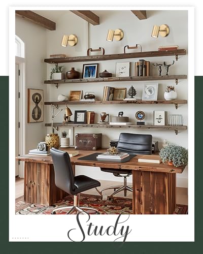 1 Light Wall Sconce